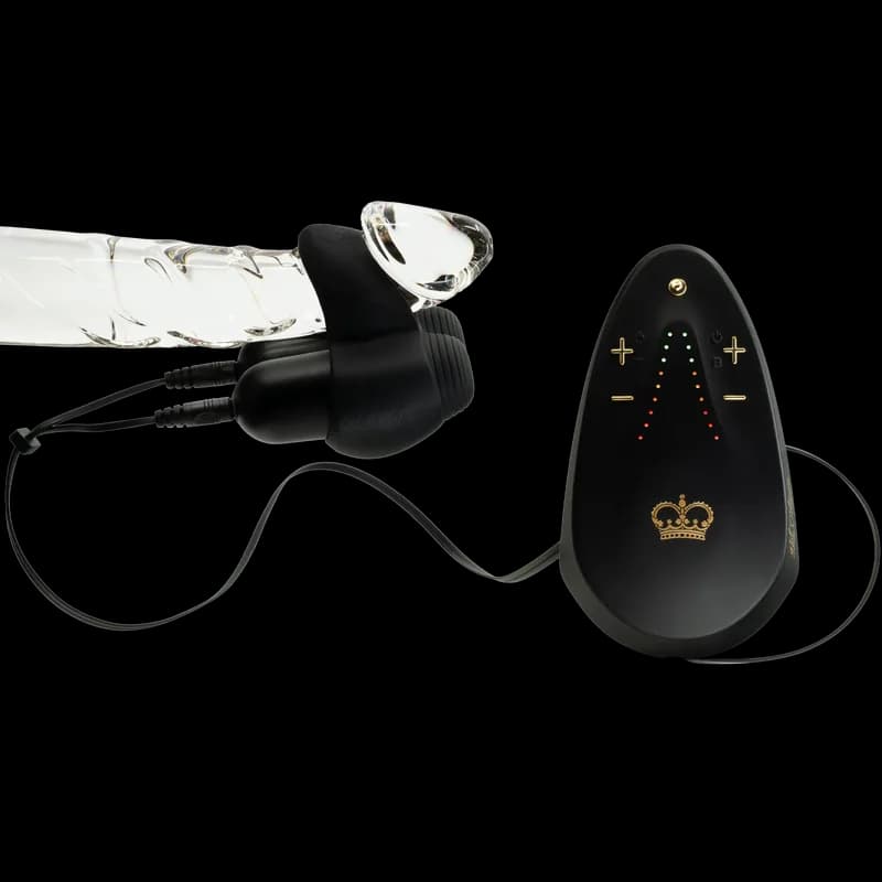 Hot Octopuss Jett Turbo rechargeable hands-free dual-bullet penis vibrator with edging controller.
