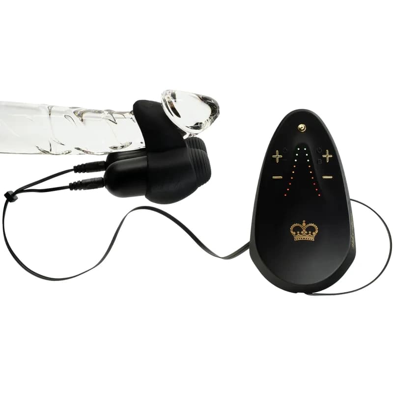 Hot Octopuss Jett Turbo rechargeable dual-bullet penis massager.
