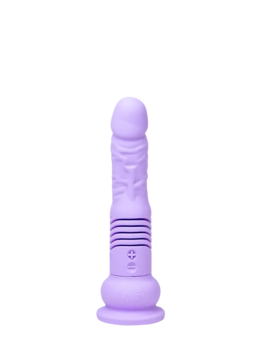 Velvet Thruster Mini Teddy TX by Velvet Thruster.