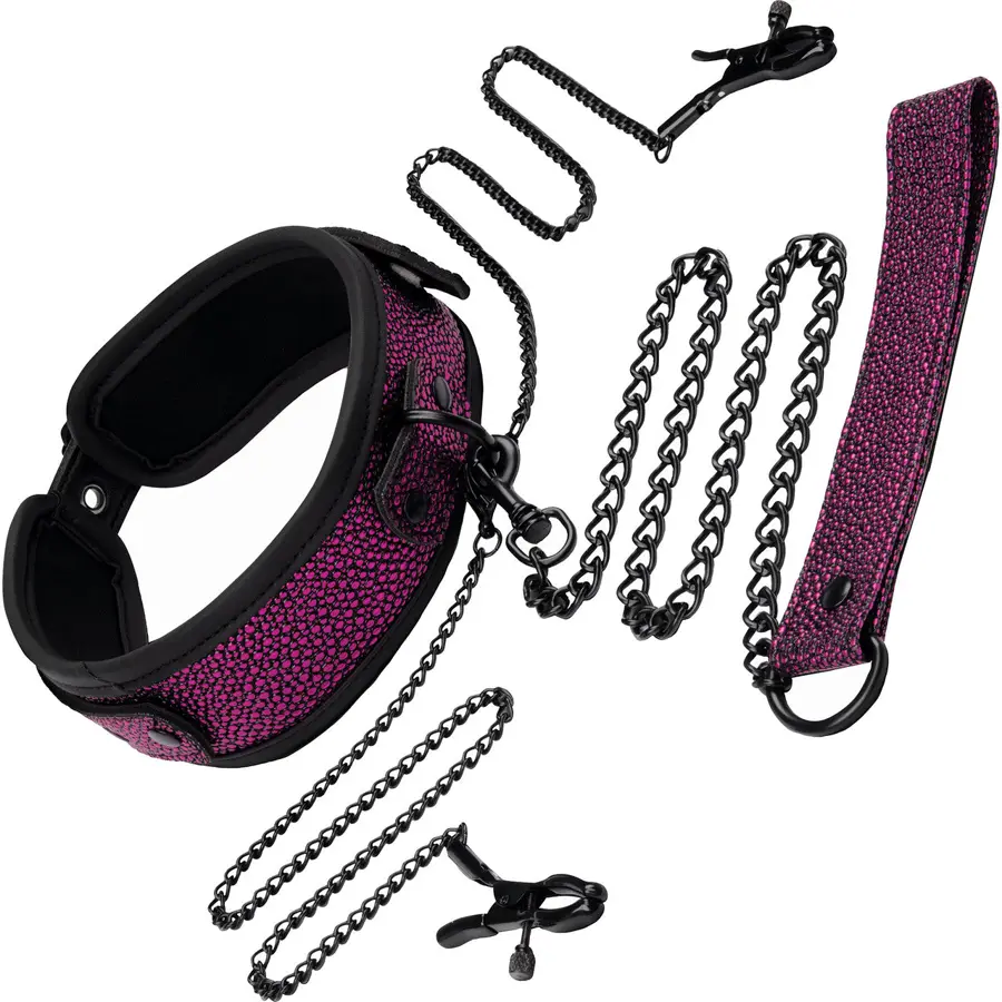 Whipsmart Dragon's Lair collar, leash, and nipple clips set.